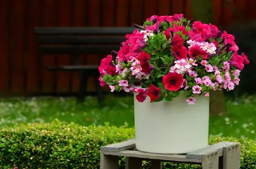 Make a Nice Container Arrangement