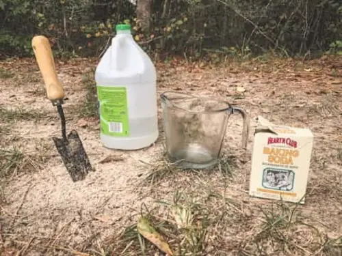 Amazing Vinegar Uses in Gardens Make Your Alkaline Soil Neutral