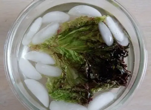 Refresh Wilted Harvest