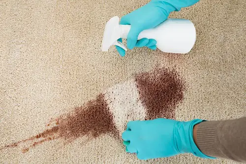 Vinegar Uses in the Home remove Rug
