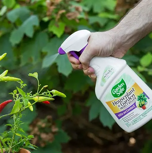 best Amazing Vinegar Uses