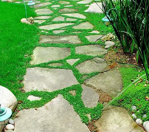 Top Walking or Running Surface Covers