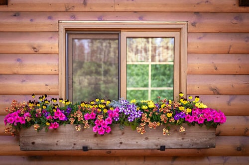 Prettiest Window Boxes 6