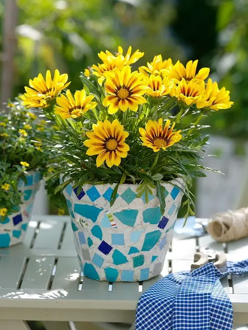 Gorgeous Flowers That Remind Me of Sunflowers 12