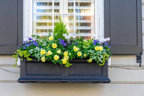 Prettiest Window Boxes 7