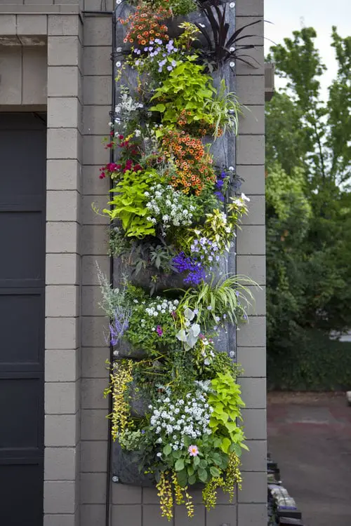 Vertical Flower Garden Pictures 4