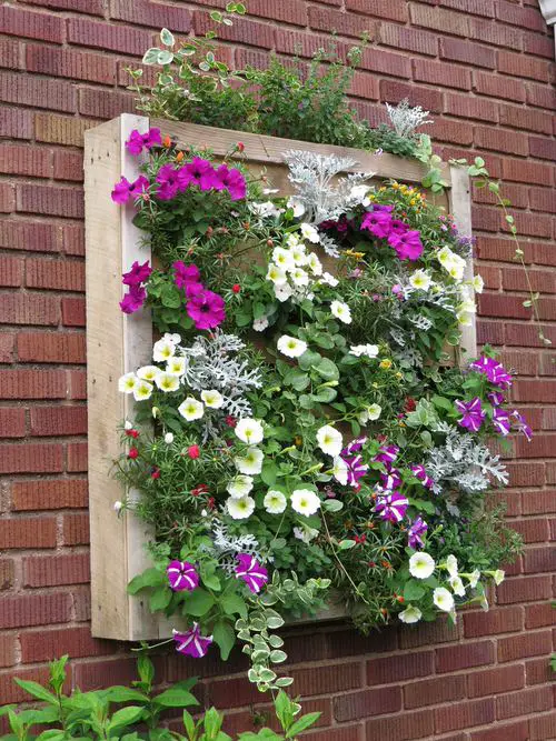  Vertical Flower Garden Pictures 5