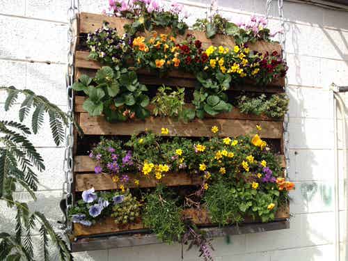 Vertical Flower Garden Pictures 8