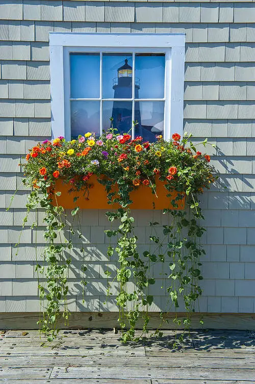 Prettiest Window Boxes 10