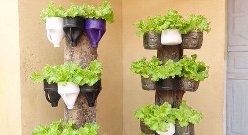 DIY Vertical Vegetable Garden Ideas 11