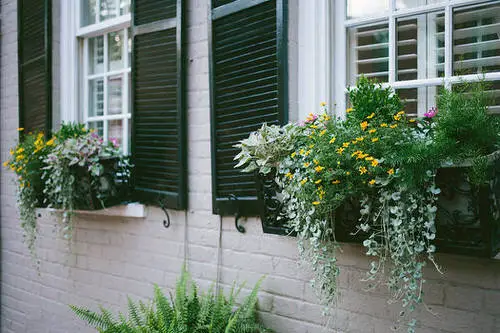 Prettiest Window Boxes 11