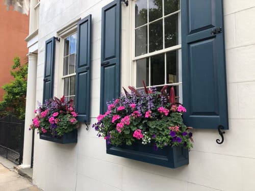 Prettiest Window Boxes 2