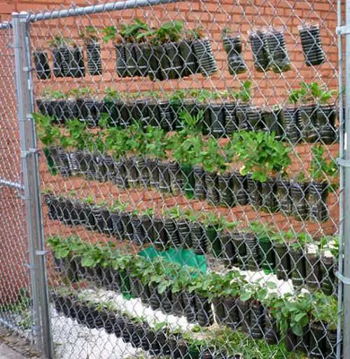  Plastic Bottle Vertical Garden Ideas 13