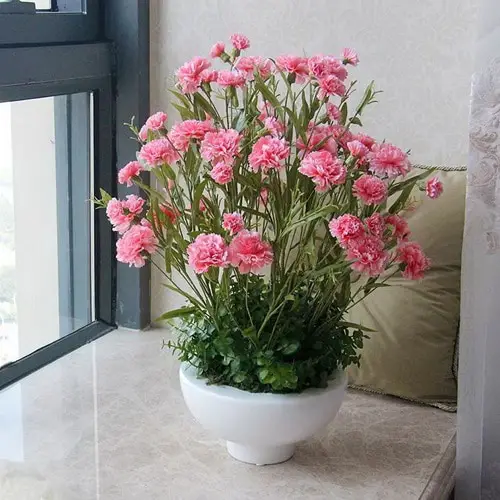 Flowers that Look Like Roses 3