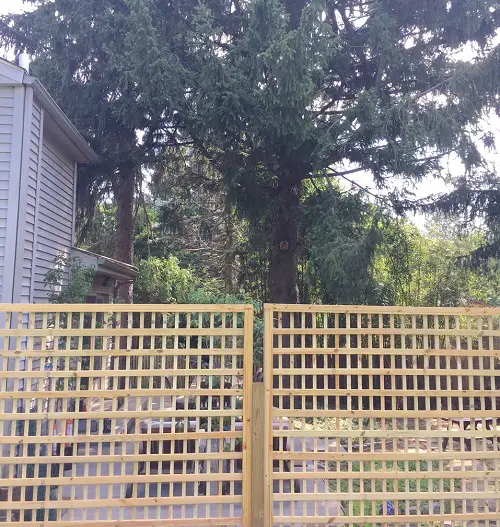 Square Lattice Fence