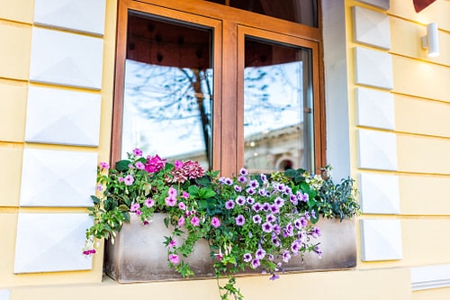 Prettiest Window Boxes 3