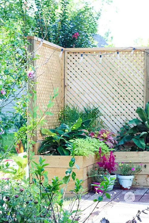 Wooden Post privacy fence