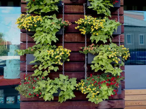 Vertical Flower Garden Pictures 10
