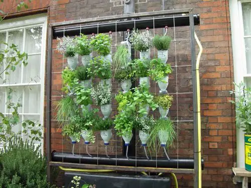  Plastic Bottle Vertical Garden Ideas 15