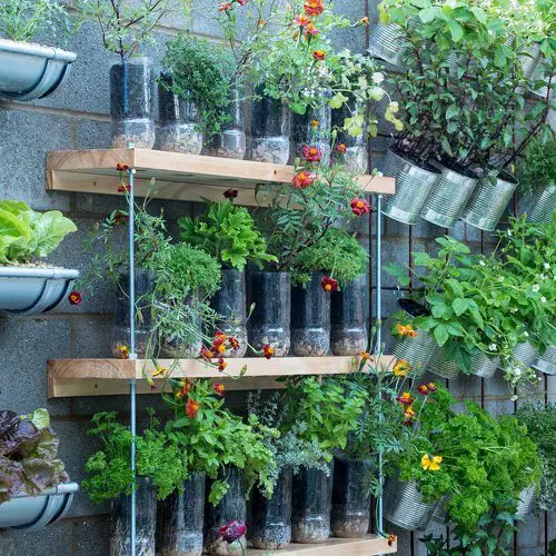 Plastic Bottle Vertical Garden Ideas 16