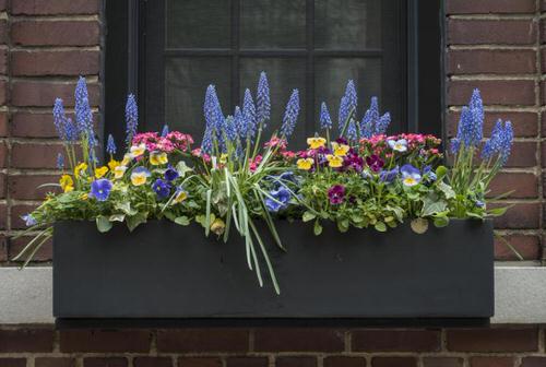 Prettiest Window Boxes 4