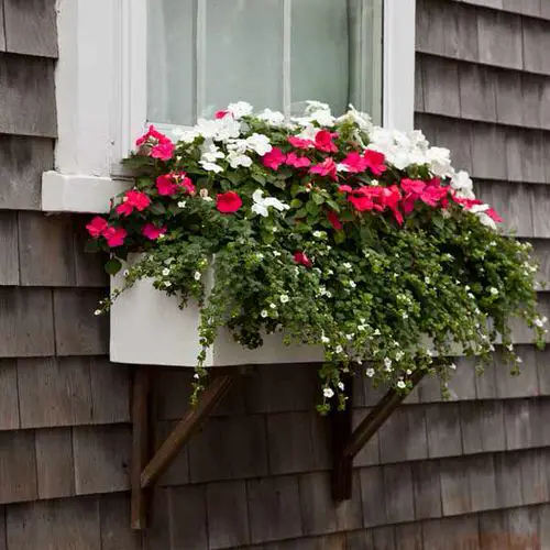 Prettiest Window Boxes 5
