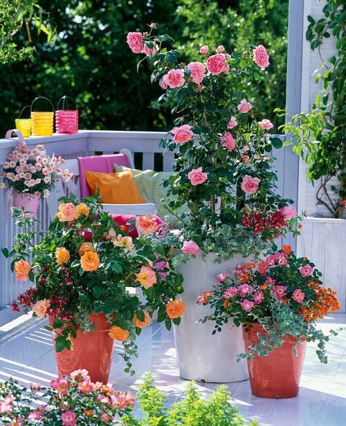 Balcony Garden Design #13