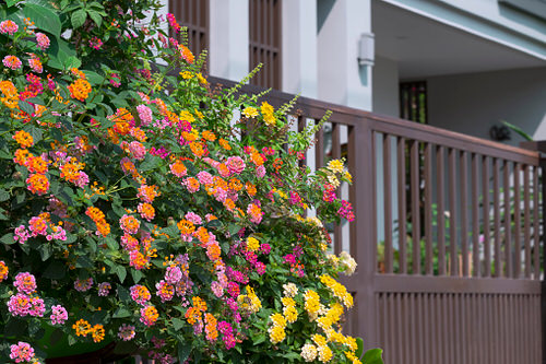 Balcony Garden Design #15