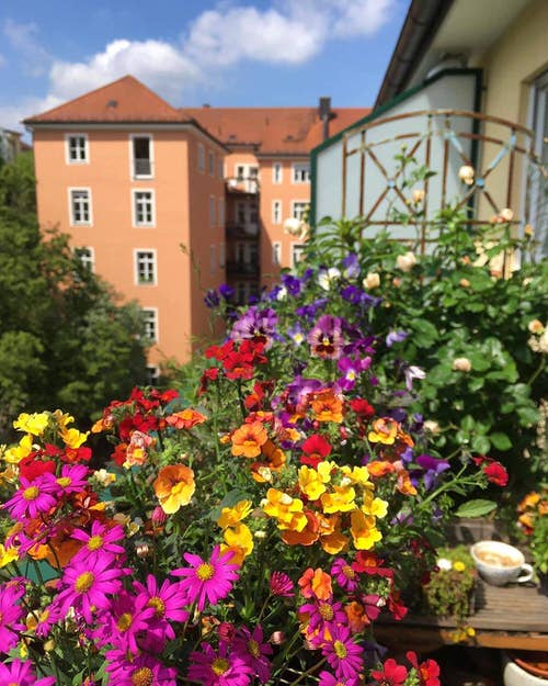 Balcony Garden Design #5