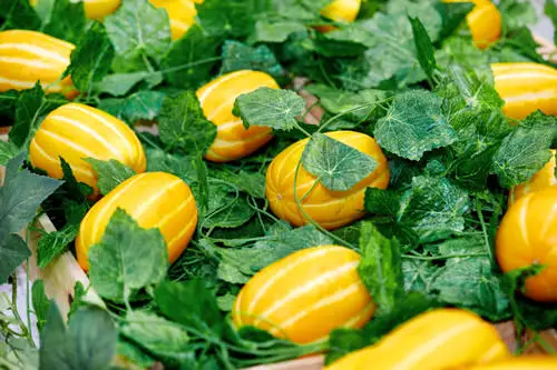 top Unique Fruits from Across the World