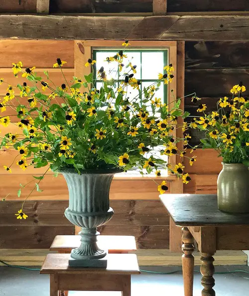 Sunflower-Resembling Flowers 15
