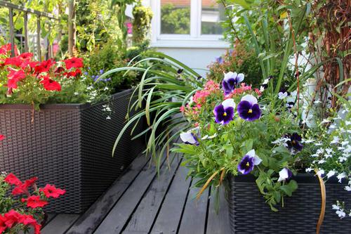 Balcony Garden Design #7