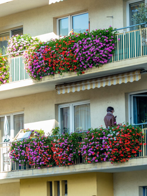 Balcony Garden Design #1