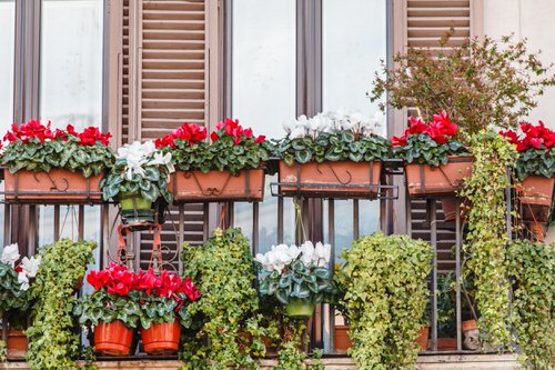 Balcony Garden Design #8