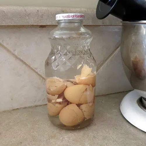 DIY Homemade Fertilizers for Pothos 2