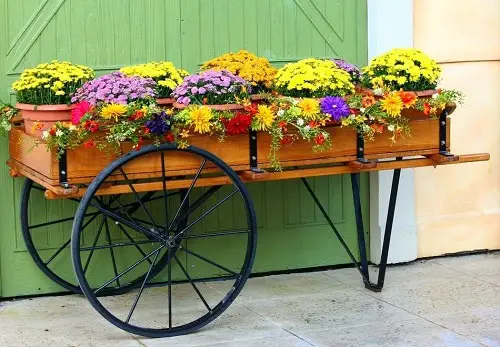 Gardening Hacks for Senior Gardeners