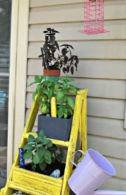Insanely Instant Ideas to Decorate Your Garden 6