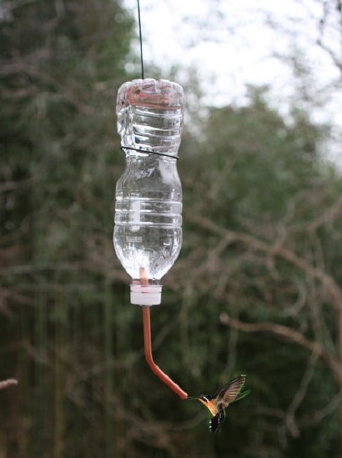Water Bottle Feeder