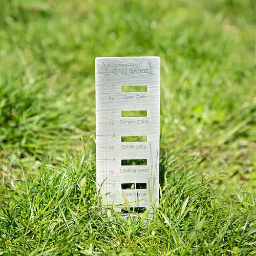 Father's Day Garden Gift Ideas 22
