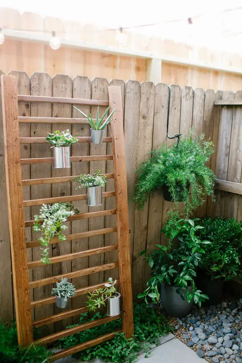 DIY Backyard Ideas in Budget