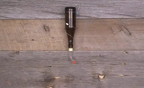 DIY Hummingbird Beer Bottle Birdfeeder