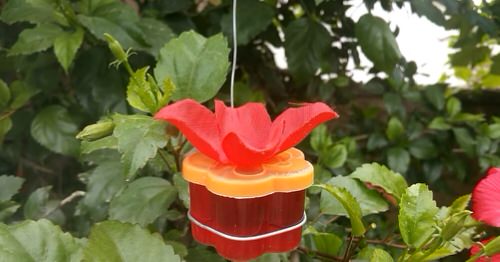 Diy Easy Feeder