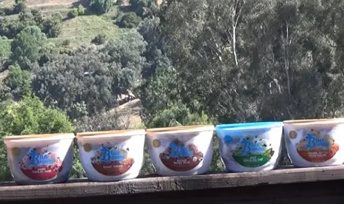 DIY Ice Cream Hummingbird Feeder