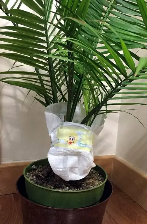 Pinterest Garden Hacks 13