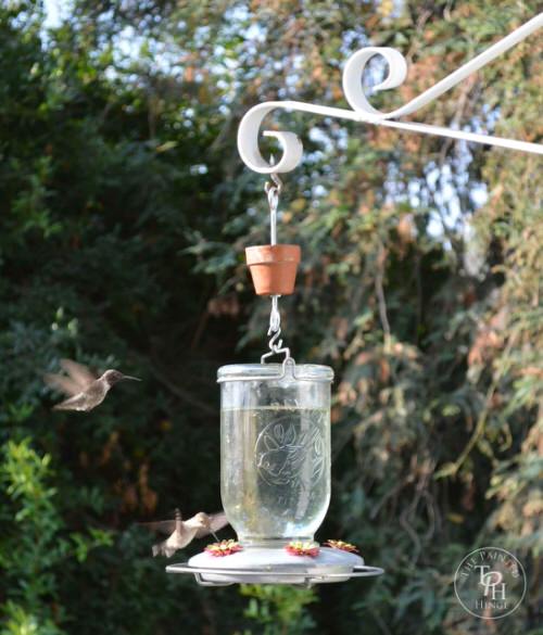 Hummingbird Feeder Ant Moat