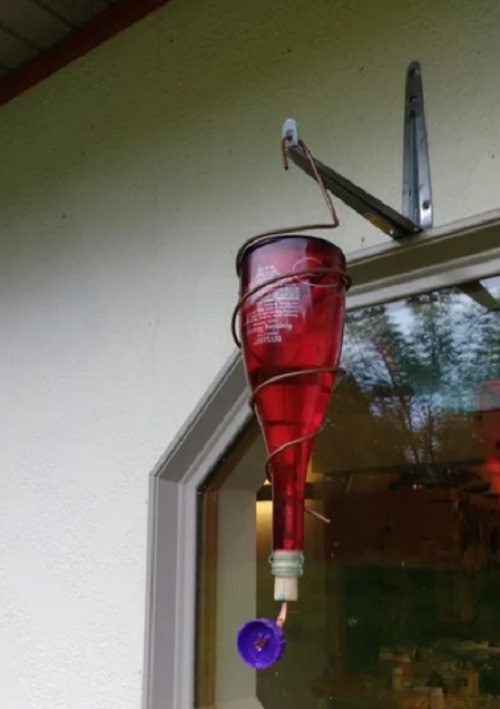 DIY Wine Bottle Hummingbird Feeder