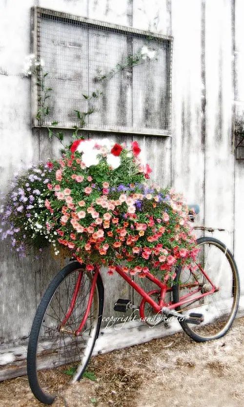 Insanely Instant Ideas to Decorate Your Garden 26
