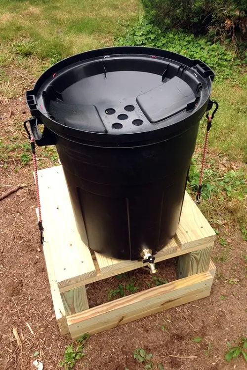 Pinterest Garden Hacks 15