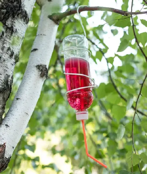 Diy Feeder Idea for 3$