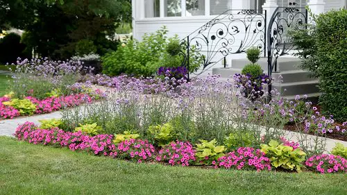 Plants That Resist Deer That You Can Grow